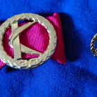 Kuntaliitto Kultainen ansiomerkki 30 v - pikkukuva 1