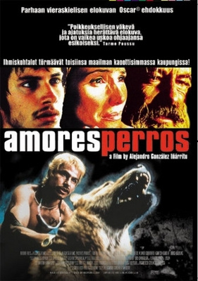 Amores Perros (DVD)