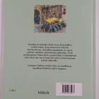 Graham Oakley : Kettukallion poliisi ja merirosvot - pikkukuva 2