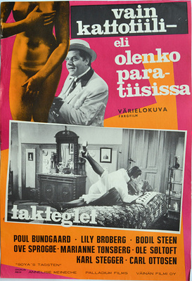 Elokuvajuliste: Vain kattotiili - eli olenko paratiisissa