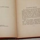 Juhani Siljo - Selvään veteen 1919 - pikkukuva 4