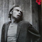 Graham Parker & The Rumour: The Parkerilla (2LP) - pikkukuva 1