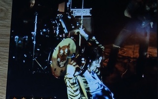 DVD Hurriganes Rock N Roll All Night Long 1973-1988