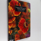 Jim Duggan : Plants in the Getty's Central Garden - pikkukuva 1