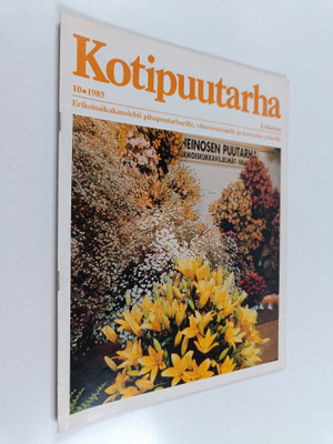 Kotipuutarha 10/1985