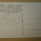 Kuuterselkä, Kuuterselän järveä, lähiympäristöä, k. 1910 - pikkukuva 2