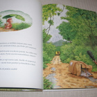 Romanelli - de Beer Pikku Dodon viulu - pikkukuva 2