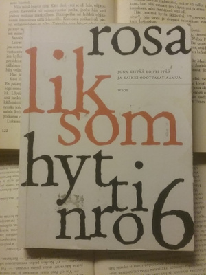 Rosa Liksom - Hytti numero 6 (nid.)