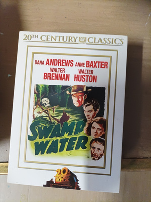 Swamp water