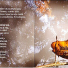 cd, MMV: Uskalla nähdä [ruotsalaiset virret, kuoromusiikki] - pikkukuva 1