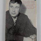 Hannu Salama : Lomapäivä : novelleja - pikkukuva 2