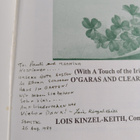 Lois Kinzel-Keith : The Sahi Saga - A Finnish Emigrant's ... - pikkukuva 2