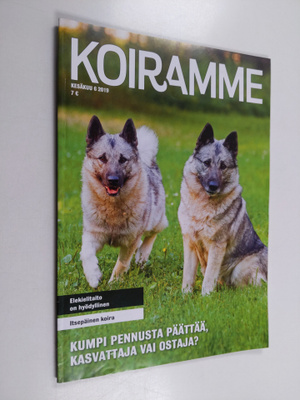 Koiramme 6/2019