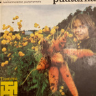 META STRANDBERG: MYRKYTÖN PUUTARHA - pikkukuva 1