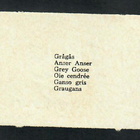 EO 5703 - Nelkku - Hanhi ja perhe - Agathon!!! - pikkukuva 2
