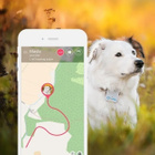 Tractive GPS - koirapaikannin - pikkukuva 3