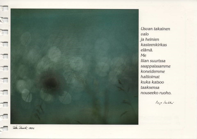 kortti ** Luontokuva tai onnittelu - eril. tekstilläkin