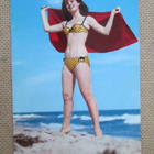 neljä pin-up postikorttia - pikkukuva 4