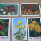 CCCP: 18 almanakkakorttia 1969-1985 - kukat, kasvit - pikkukuva 4