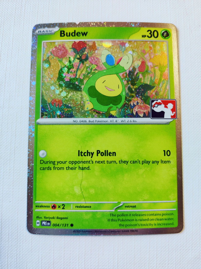 Budew Holo - Prize Pack Series 7