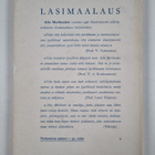 Aila Meriluoto : Lasimaalaus - pikkukuva 2