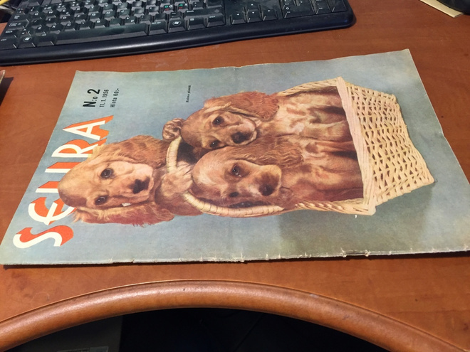 SEURA LEHTI 2/1956 HYVÄ