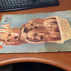 SEURA LEHTI 2/1956 HYVÄ - pikkukuva 1