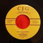 Sonny Burgess sinkku - pikkukuva 2