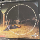 Neko Case: Blacklosted cd indie-folk - pikkukuva 2