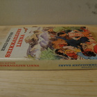 Enid Blyton Seikkailujen saari/ Seikkailujen linna - pikkukuva 2