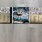 Neko Case: Hell On - Vinyyli LP - pikkukuva 4