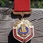 CCCR Kunniamerkki Maanparrannusainessa. Kullattu Ronssia. Em - pikkukuva 1