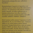 k, Inger & Lasse Sandberg - Lapanen ja taikayö - pikkukuva 3