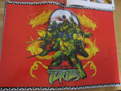 2 X TURTLES SARJAKUVAT V 2007