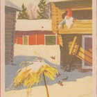 O Vikainen Tonttu ja linnut - pikkukuva 1