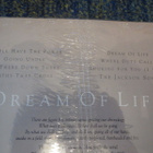 Patti Smith: Dream of Life LP - pikkukuva 2