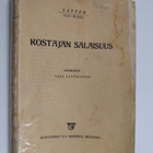 Agnes Sapper : Kostajan salaisuus - pikkukuva 1