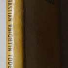 Vladimir Nabokov - Sebastian Knightin todellinen elämä - pikkukuva 2