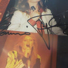 BONNIE TYLER - NATURAL FORCE INNER SLEEVE NIMMARILLA - pikkukuva 2