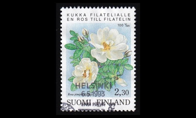 1203 o Järjestäytynyt filatelia EPL (1993)