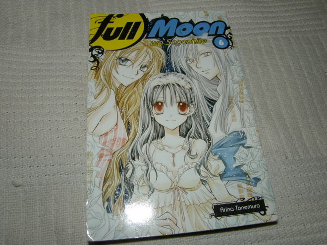 Arina Tanemura, Full Moon wo Sagashite  6