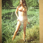 neljä pin-up postikorttia - pikkukuva 5