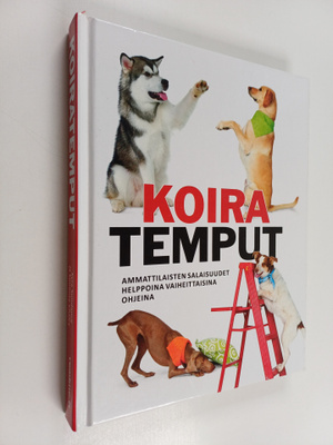 Kyra Sundance : Koiratemput