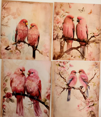 Kuviokartonki LINNUT / 4 kpl -setti / 13 x 15 cm