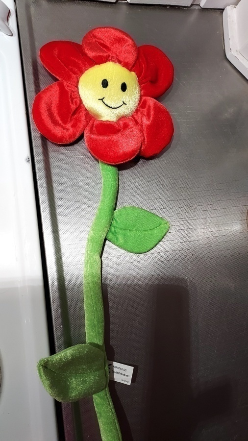 SULOINEN KANKAINEN KUKKA