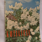Kotiliesi N:o 12 1954 kesäkuu - pikkukuva 1