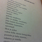 Jarkko Laine - Haamumaili 1.painos, nidottu - pikkukuva 2