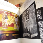 The indigenous Patterns and Hotel Okura ( SIS POSTIKULU) - pikkukuva 3