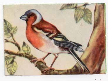 EO 5804 / LINTUNELKKU: Peippo.