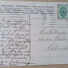Pikkuleidit onnittelevat kukkakransseilla, p. 1908 - pikkukuva 2
